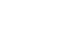 Gecko Security