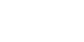 Gecko Security