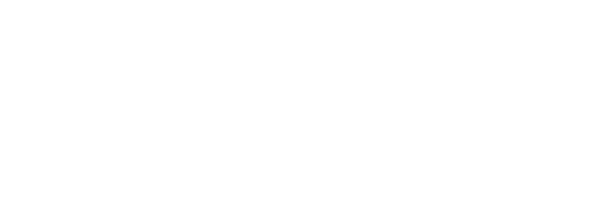 Artic Wolf