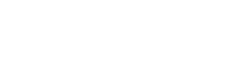 Bionic, A Crowdstrike company