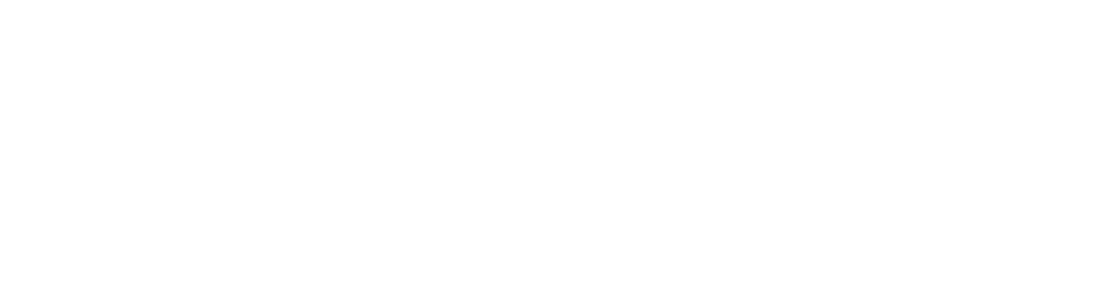 Safe Security