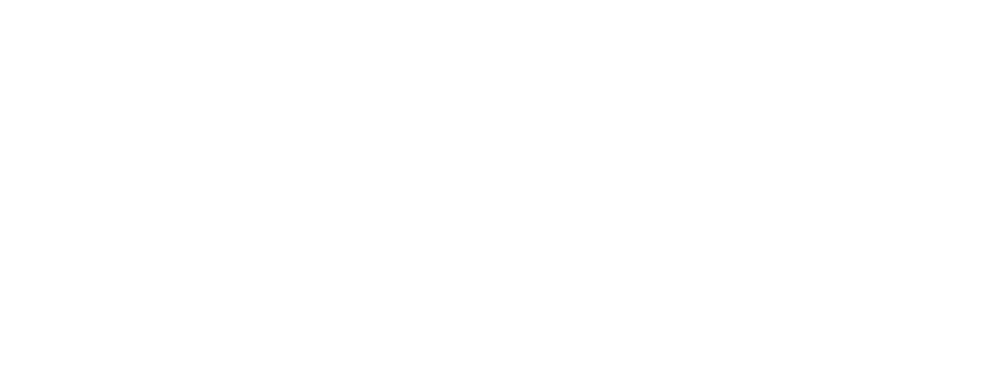 Zero Networks