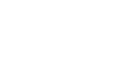 Arctic Wolf