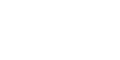 Root