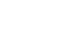 Fiddler AI