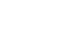 Black Kite