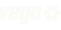 Vega Security